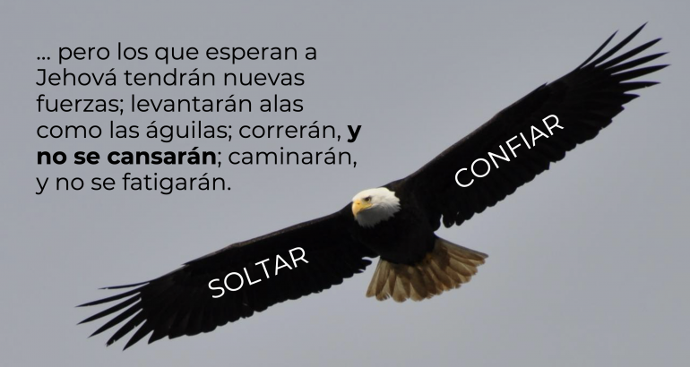 Deja de Aletear: ¡Abre tus Alas!